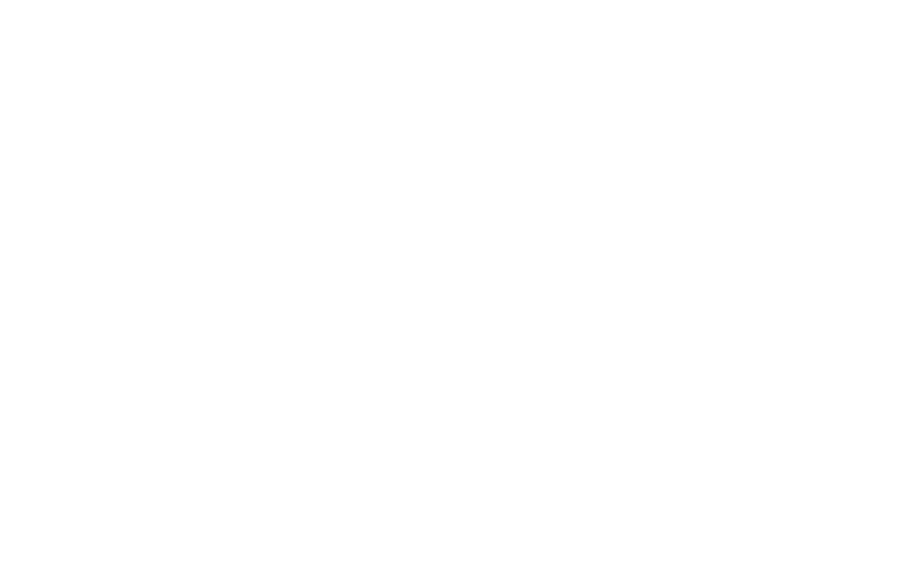 Fortiva Systems Logo